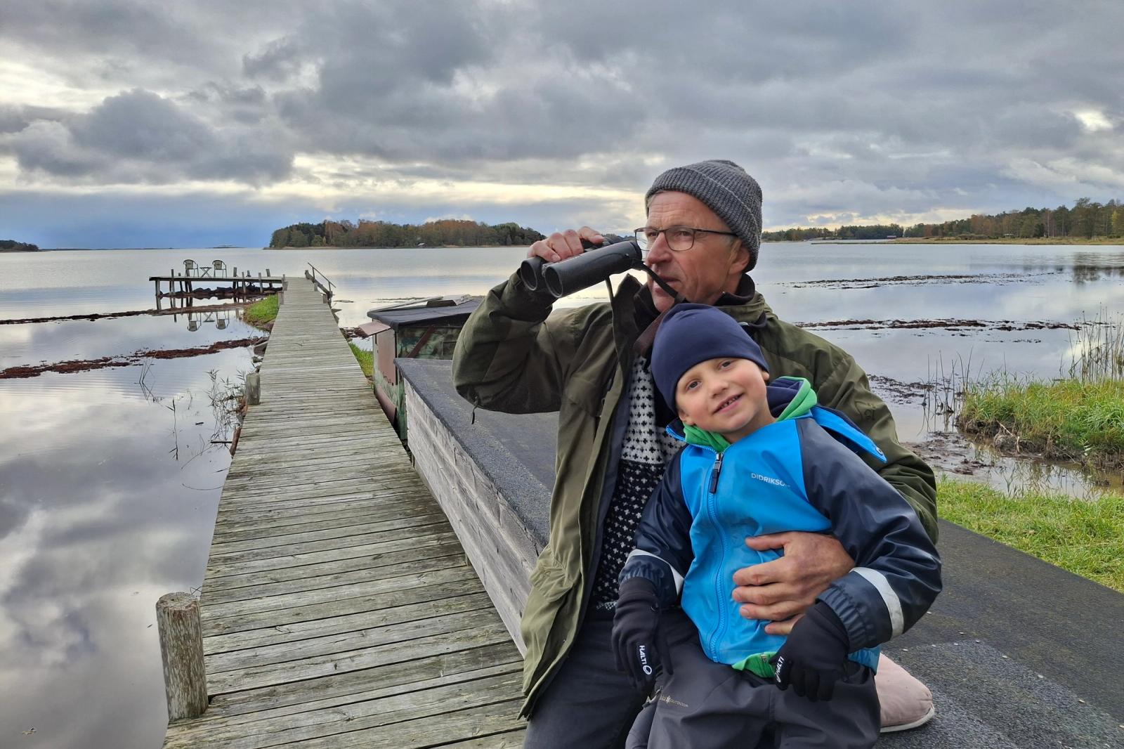 Kajor Rajora Stora mängder kajor rör sig över Åland - Ålands Radio & TV