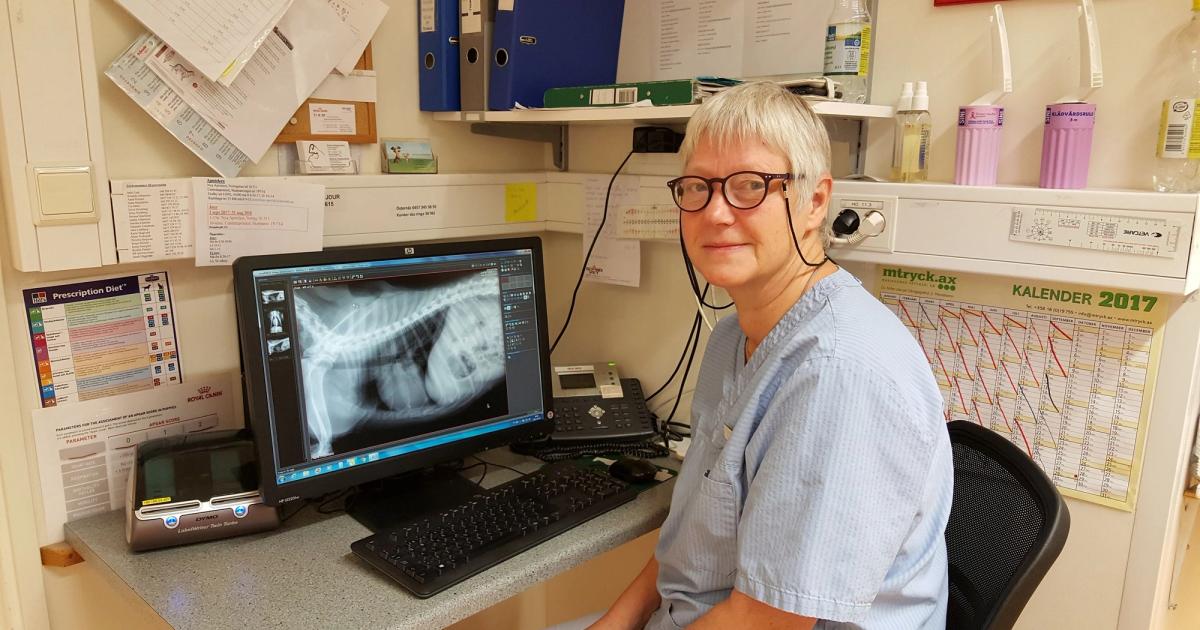 Musgift livsfarligt för husdjur - Ålands Radio & TV